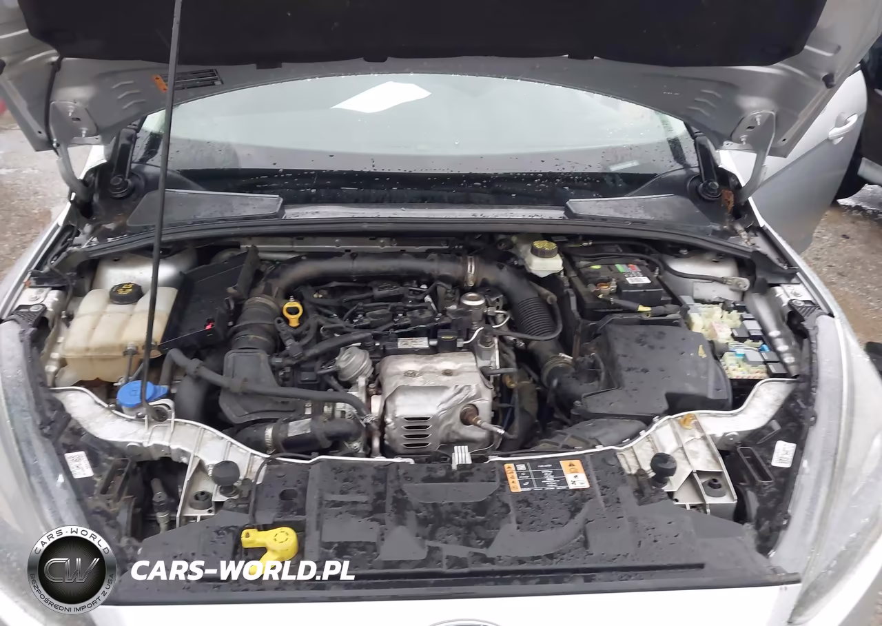 2017 Ford Focus Se VIN:1FADP3FE1HL276494 - 10