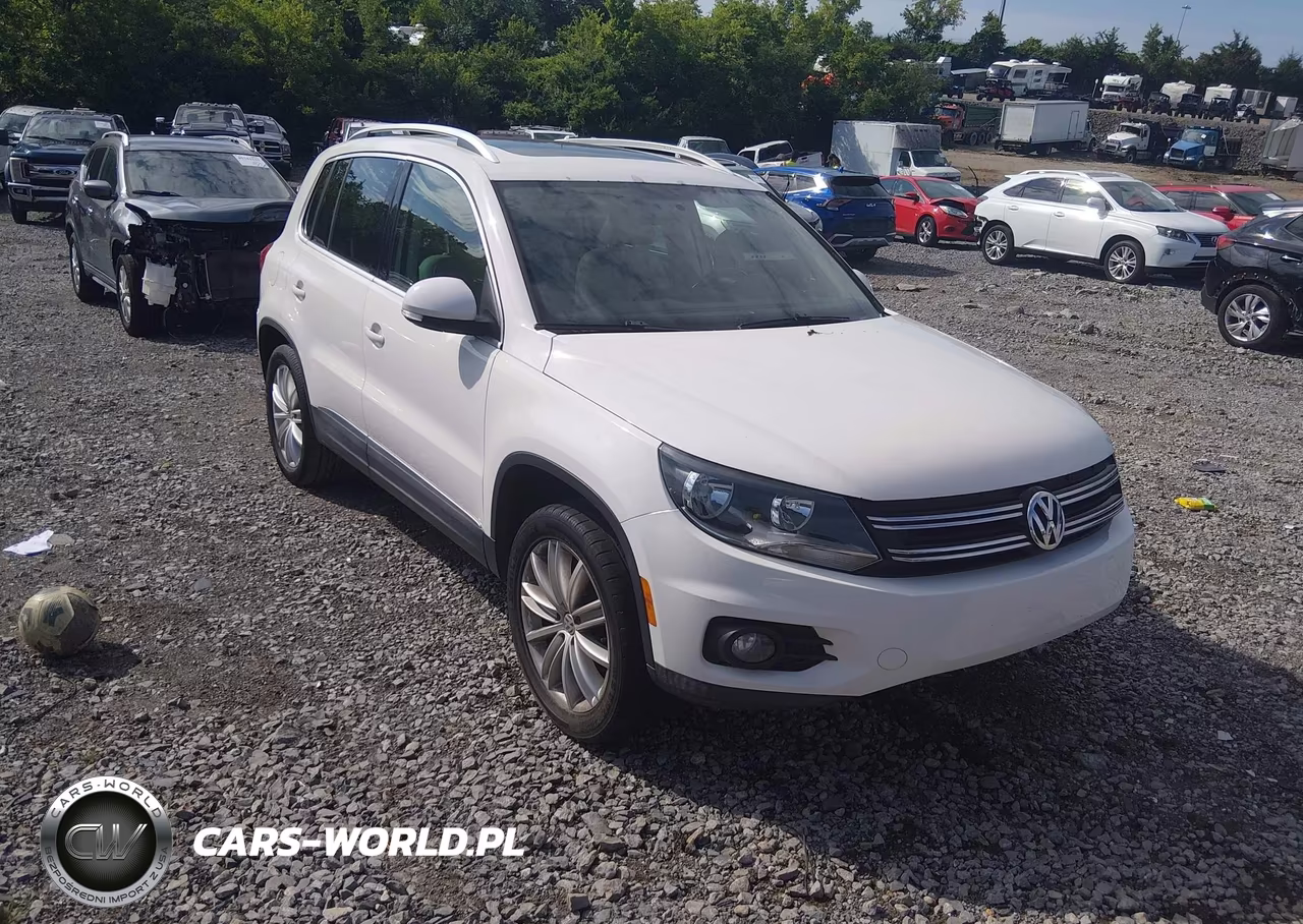 2013 Volkswagen Tiguan Se