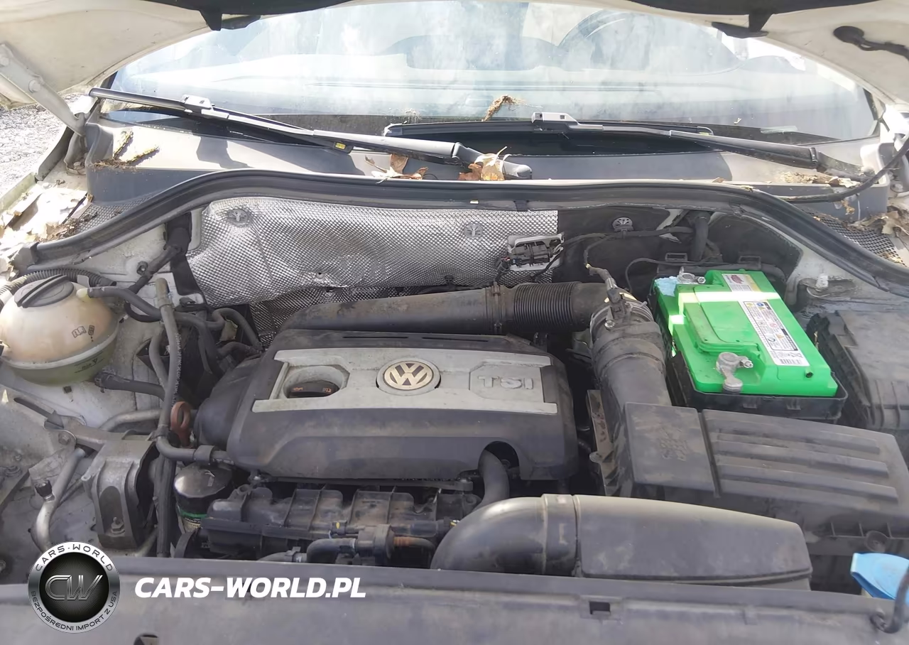 2013 Volkswagen Tiguan Se VIN:WVGAV3AX7DW577738 - 10