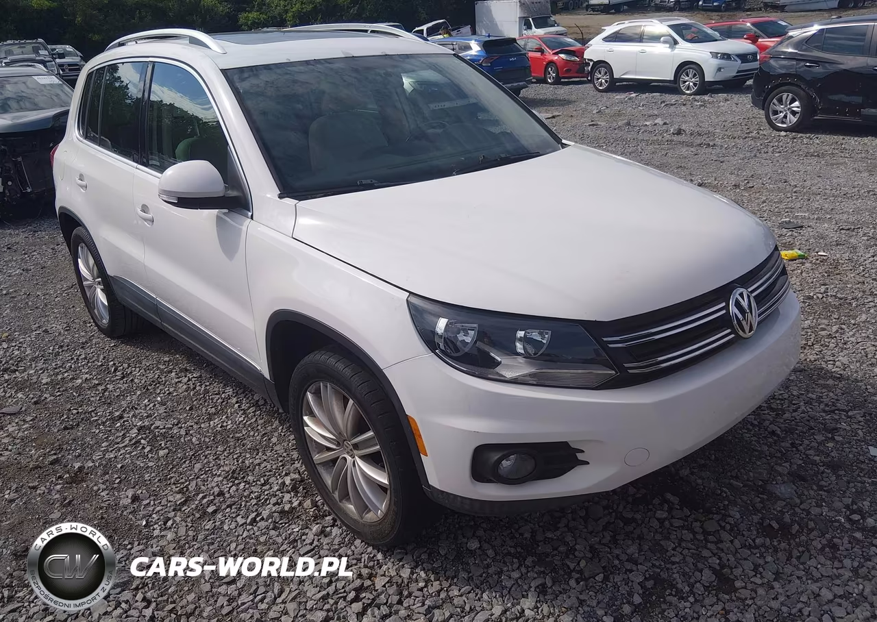 2013 Volkswagen Tiguan Se VIN:WVGAV3AX7DW577738 - 6