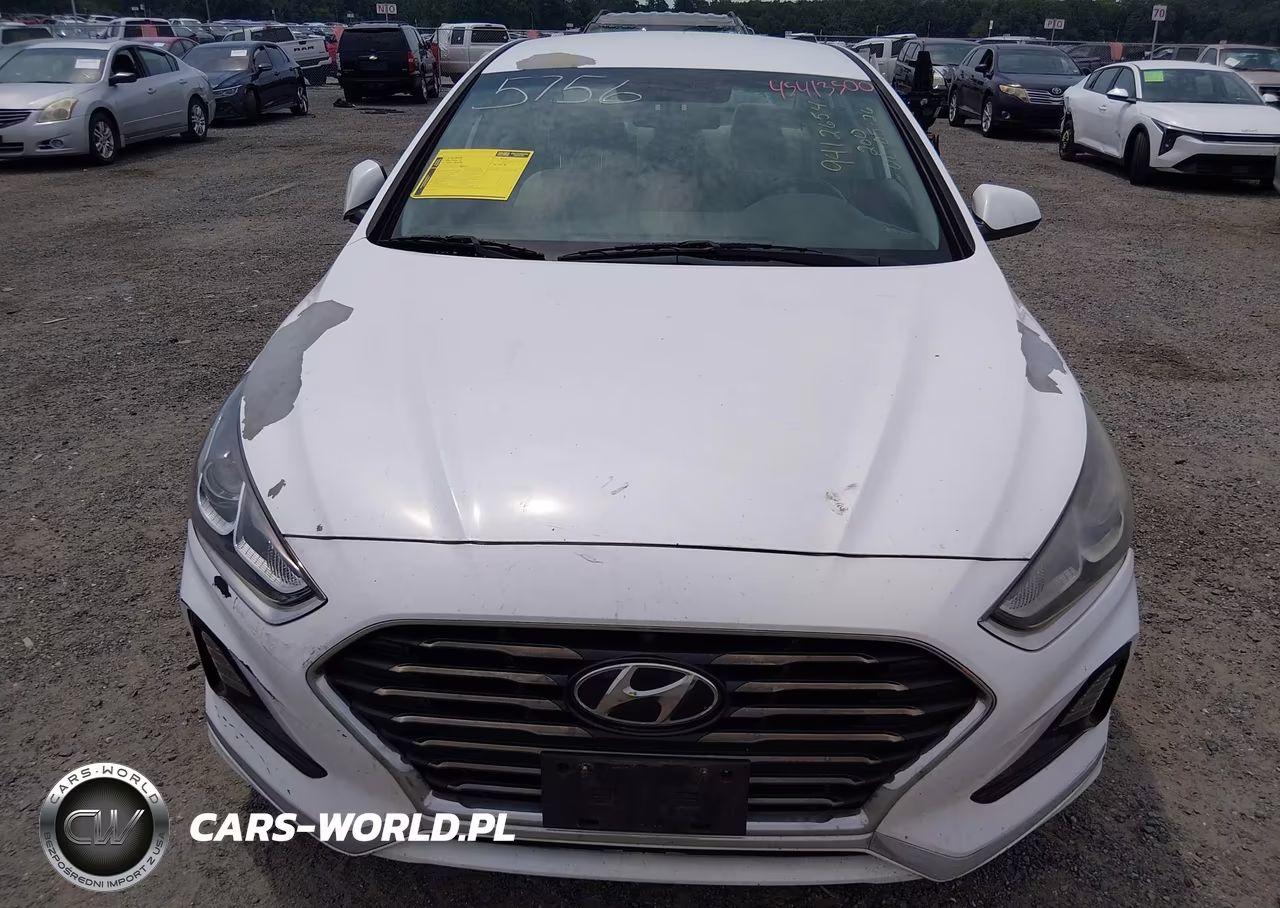 2019 Hyundai Sonata Se VIN:5NPE24AF8KH815756 - 12