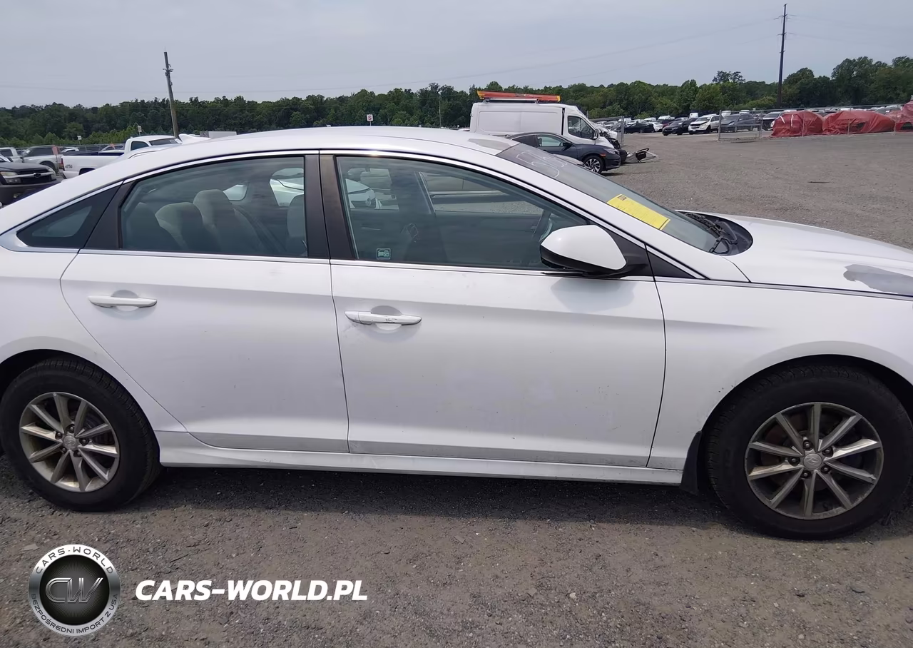 2019 Hyundai Sonata Se VIN:5NPE24AF8KH815756 - 13