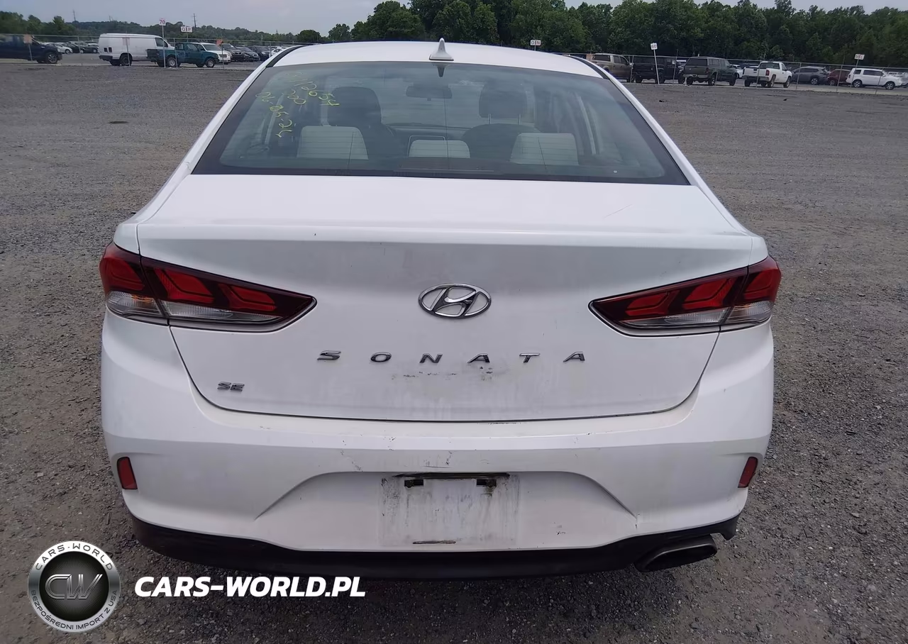 2019 Hyundai Sonata Se VIN:5NPE24AF8KH815756 - 16