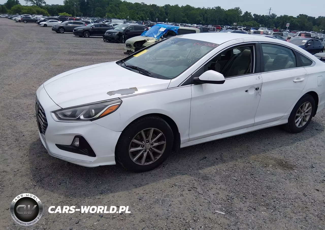 2019 Hyundai Sonata Se VIN:5NPE24AF8KH815756 - 2