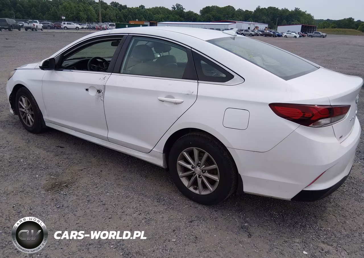 2019 Hyundai Sonata Se VIN:5NPE24AF8KH815756 - 3
