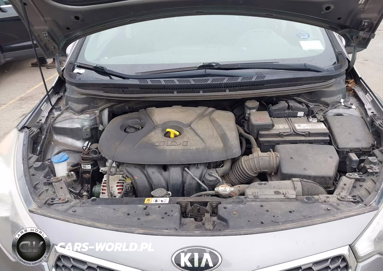 2015 Kia Forte Ex VIN:KNAFX4A84F5338706 - 10