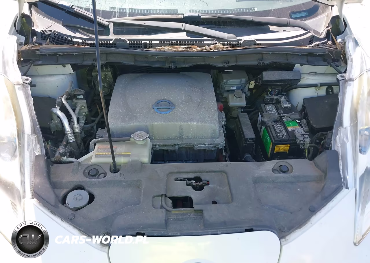 2013 Nissan Leaf Sl VIN:1N4AZ0CP0DC425022 - 10