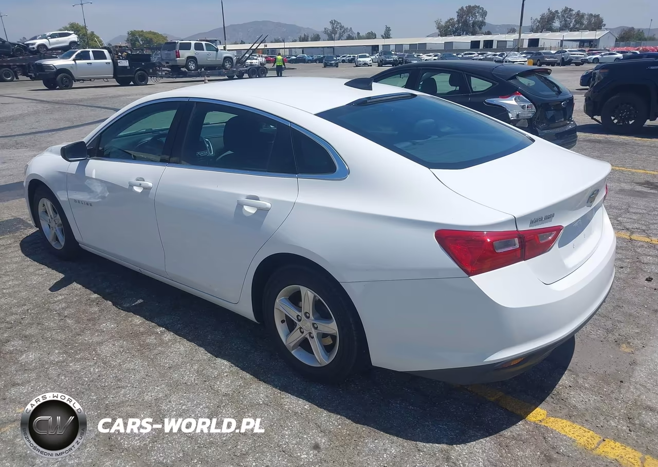2020 Chevrolet Malibu Fwd 1Fl VIN:1G1ZC5ST3LF134529 - 3