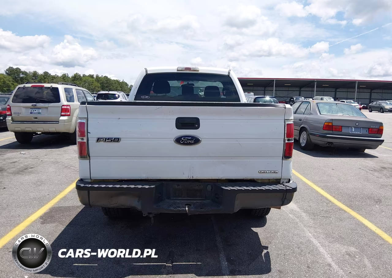 2012 Ford F-150 Xl VIN:1FTMF1CM8CFC36739 - 16