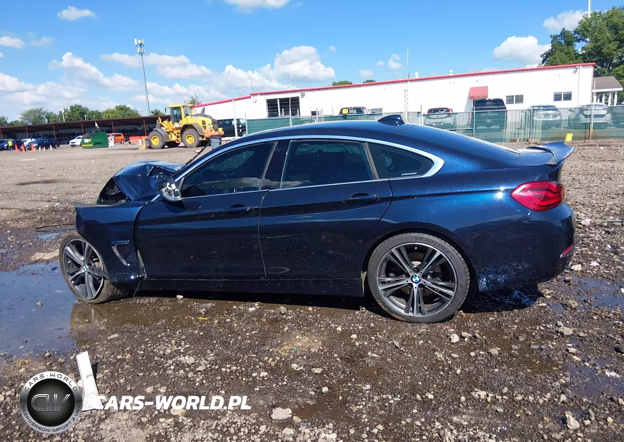 2019 BMW 440I Gran Coupe xDrive VIN:WBA4J7C52KBM75975 - 13