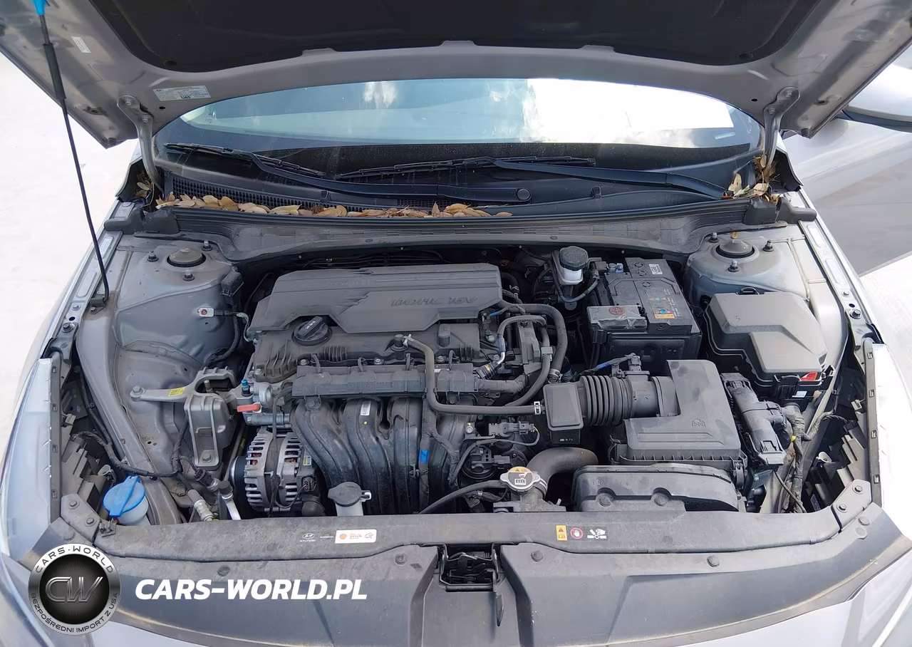 2023 Hyundai Elantra Sel VIN:KMHLS4AGXPU520313 - 10