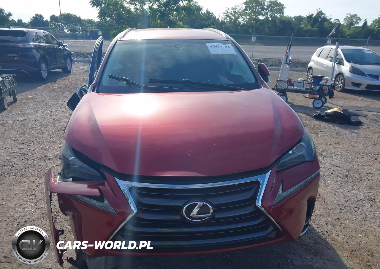 2016 Lexus Nx 200T VIN:JTJYARBZ0G2049887 - 12