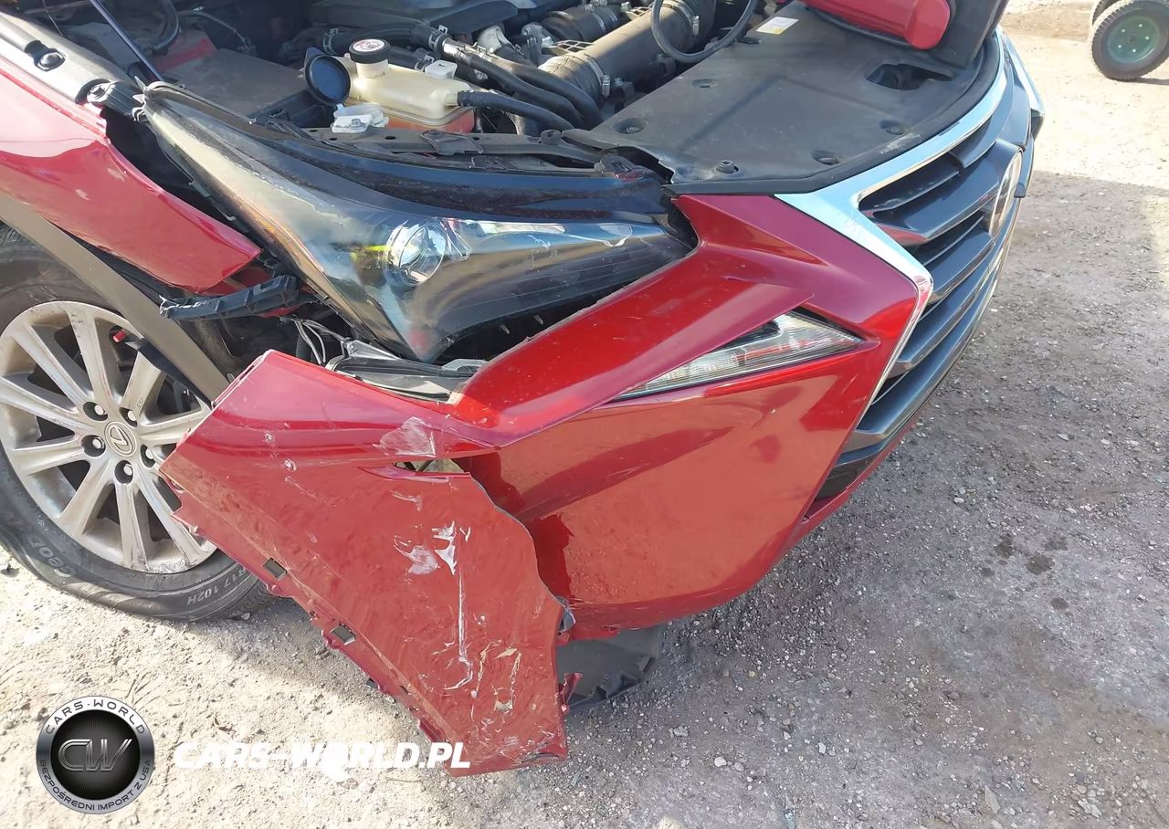 2016 Lexus Nx 200T VIN:JTJYARBZ0G2049887 - 6
