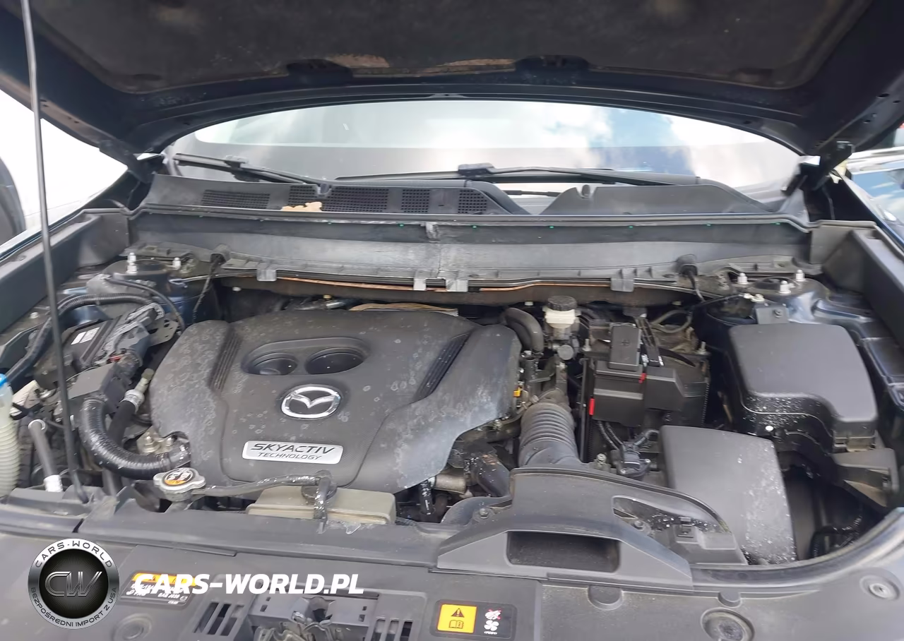 2016 Mazda Cx-9 Touring VIN:JM3TCACY6G0100410 - 10