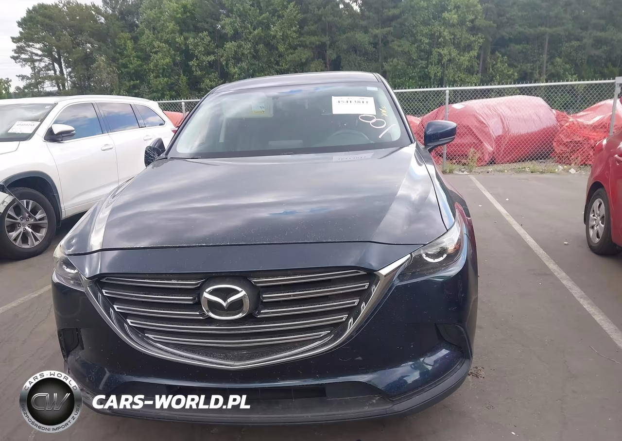 2016 Mazda Cx-9 Touring VIN:JM3TCACY6G0100410 - 12