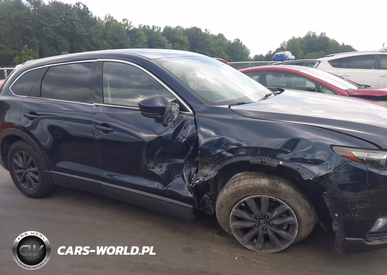 2016 Mazda Cx-9 Touring VIN:JM3TCACY6G0100410 - 13