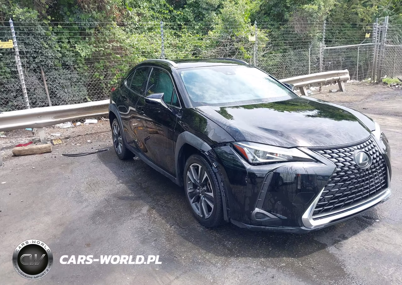 2019 Lexus Ux 200
