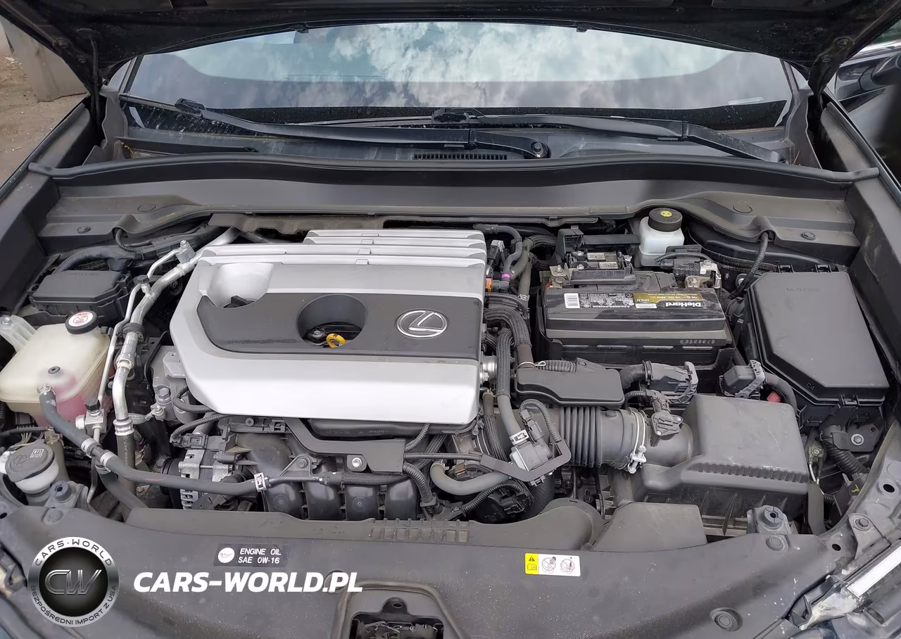 2019 Lexus Ux 200 VIN:JTHY3JBH2K2016256 - 10