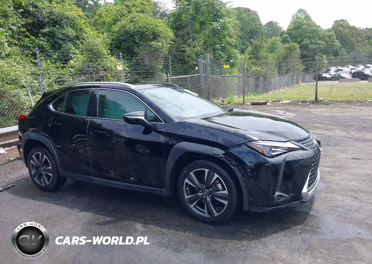 2019 Lexus Ux 200 VIN:JTHY3JBH2K2016256 - 13