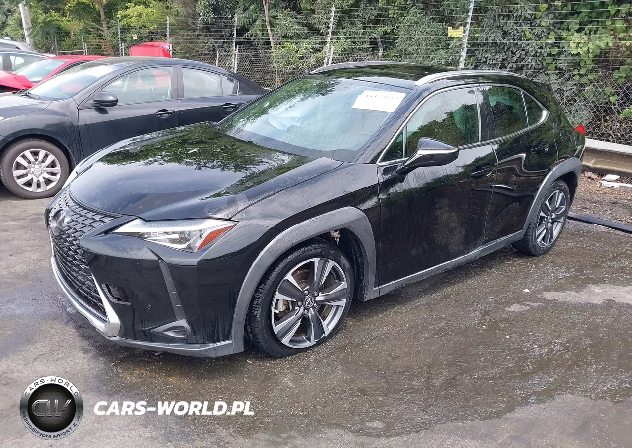 2019 Lexus Ux 200 VIN:JTHY3JBH2K2016256 - 2