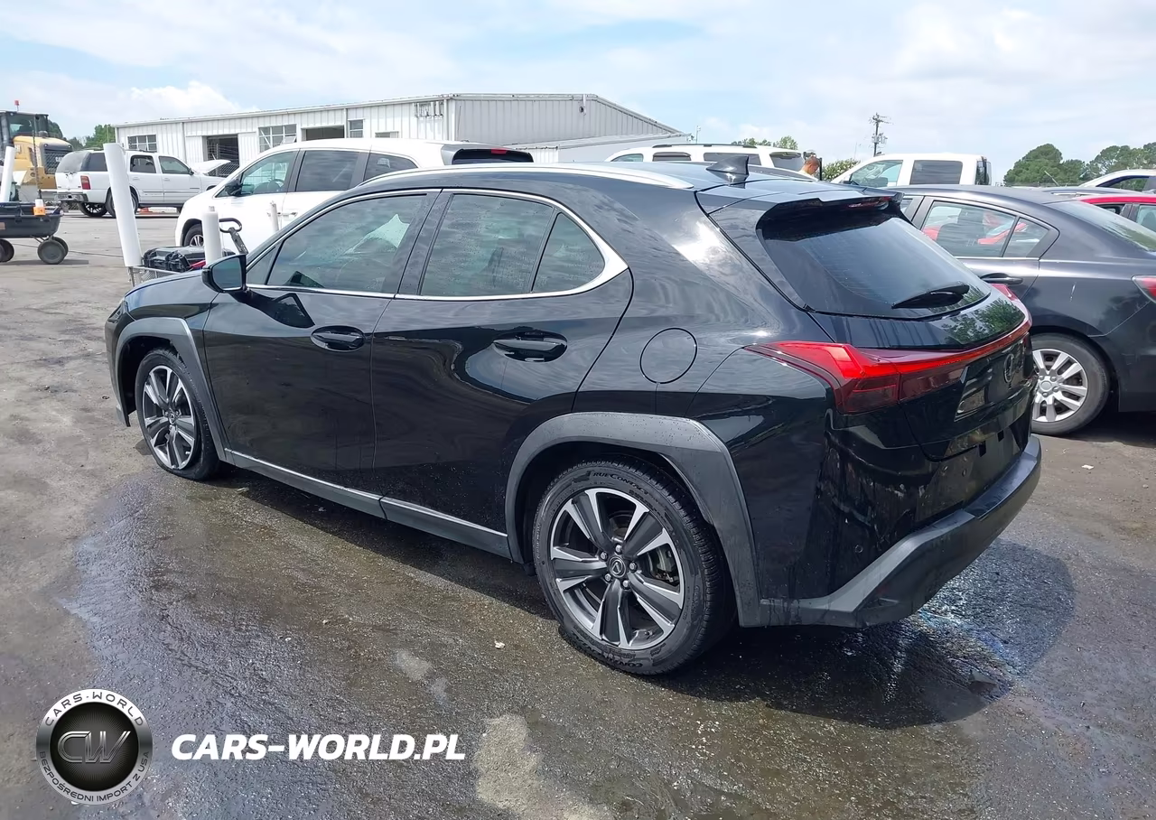 2019 Lexus Ux 200 VIN:JTHY3JBH2K2016256 - 3
