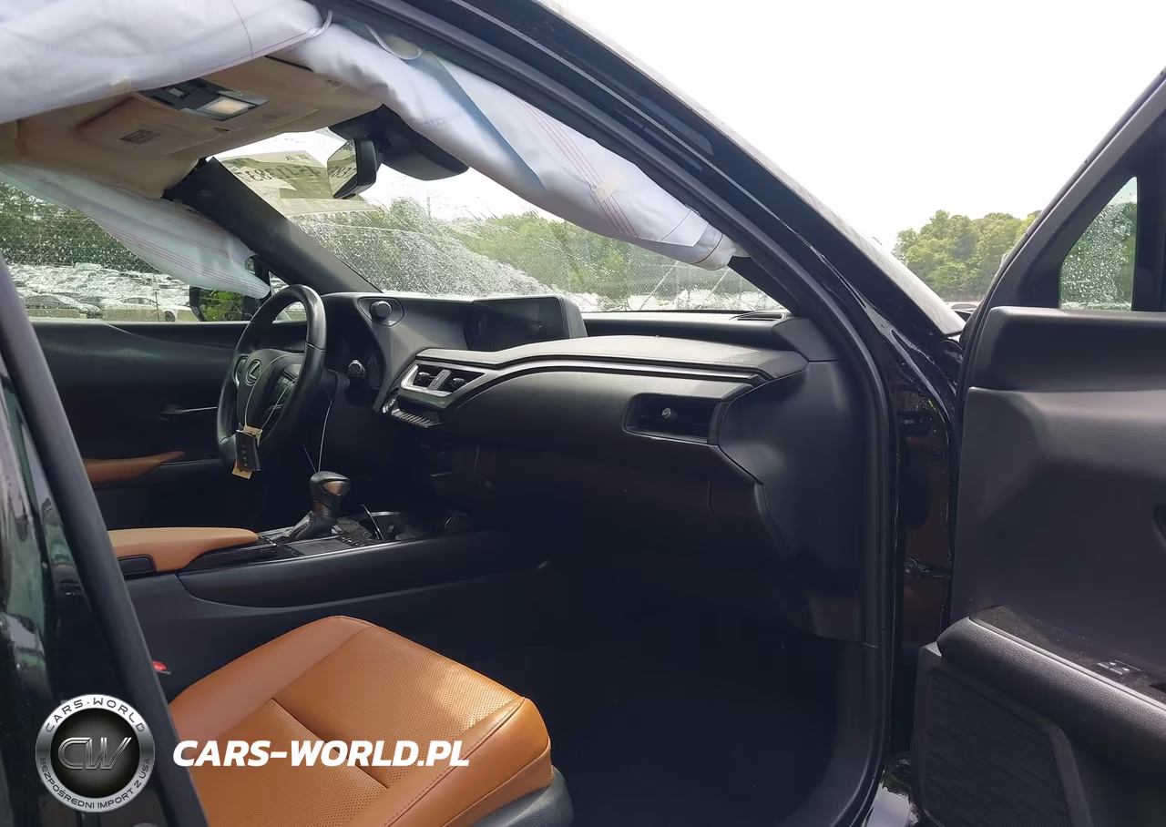 2019 Lexus Ux 200 VIN:JTHY3JBH2K2016256 - 5