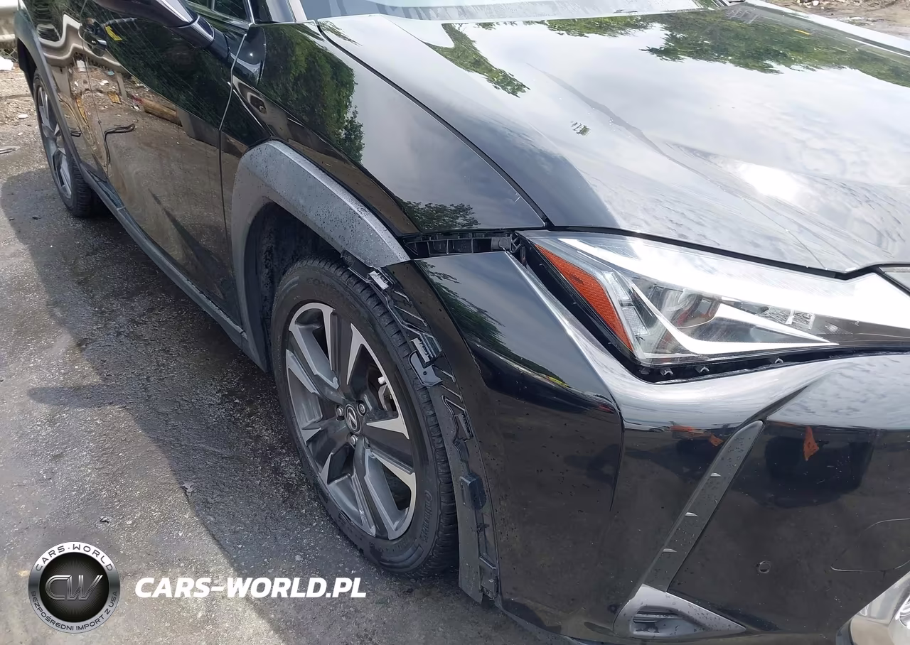 2019 Lexus Ux 200 VIN:JTHY3JBH2K2016256 - 6
