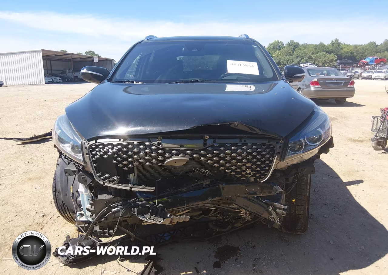 2016 Kia Sorento 3.3L Sxl VIN:5XYPKDA57GG014539 - 12