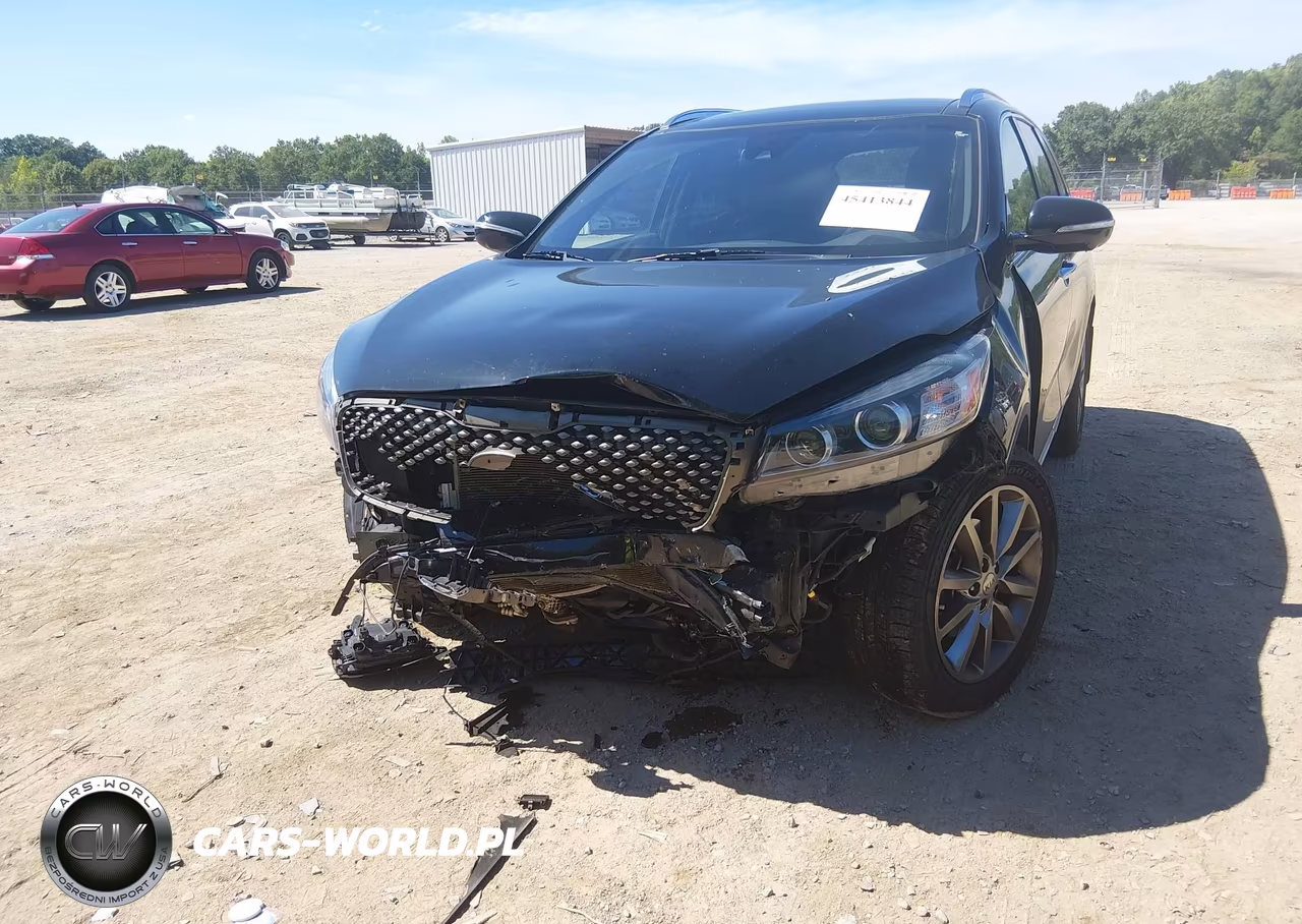 2016 Kia Sorento 3.3L Sxl VIN:5XYPKDA57GG014539 - 6
