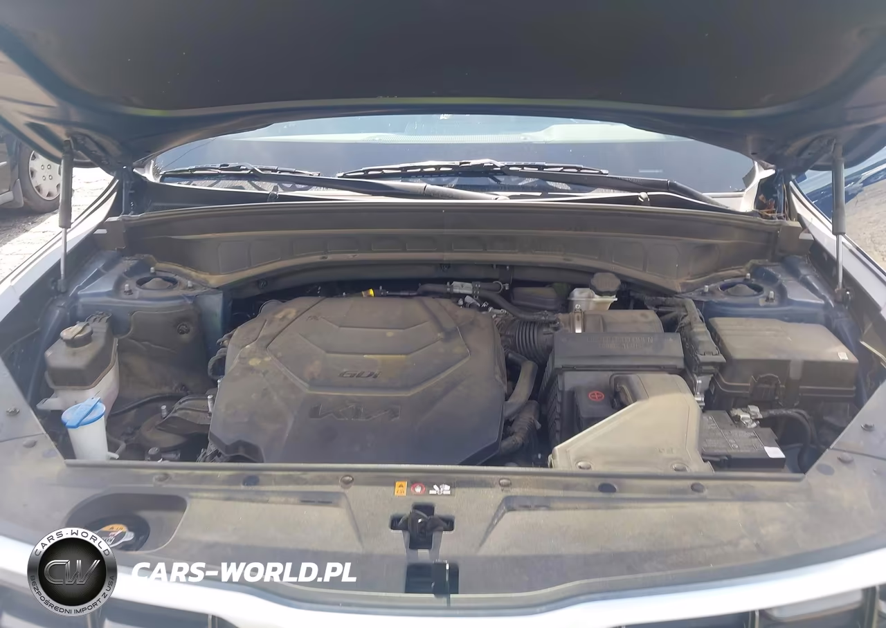 2023 Kia Telluride S VIN:5XYP64GC5PG388867 - 10