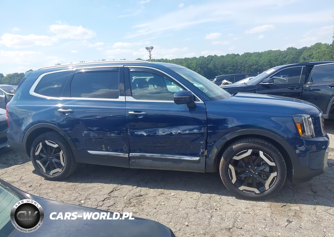 2023 Kia Telluride S VIN:5XYP64GC5PG388867 - 13