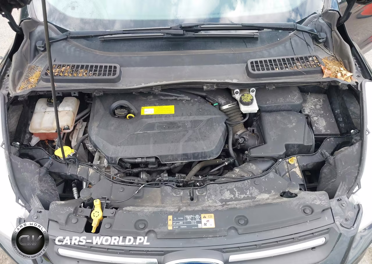 2016 Ford Escape Se VIN:1FMCU9GX8GUA64617 - 10