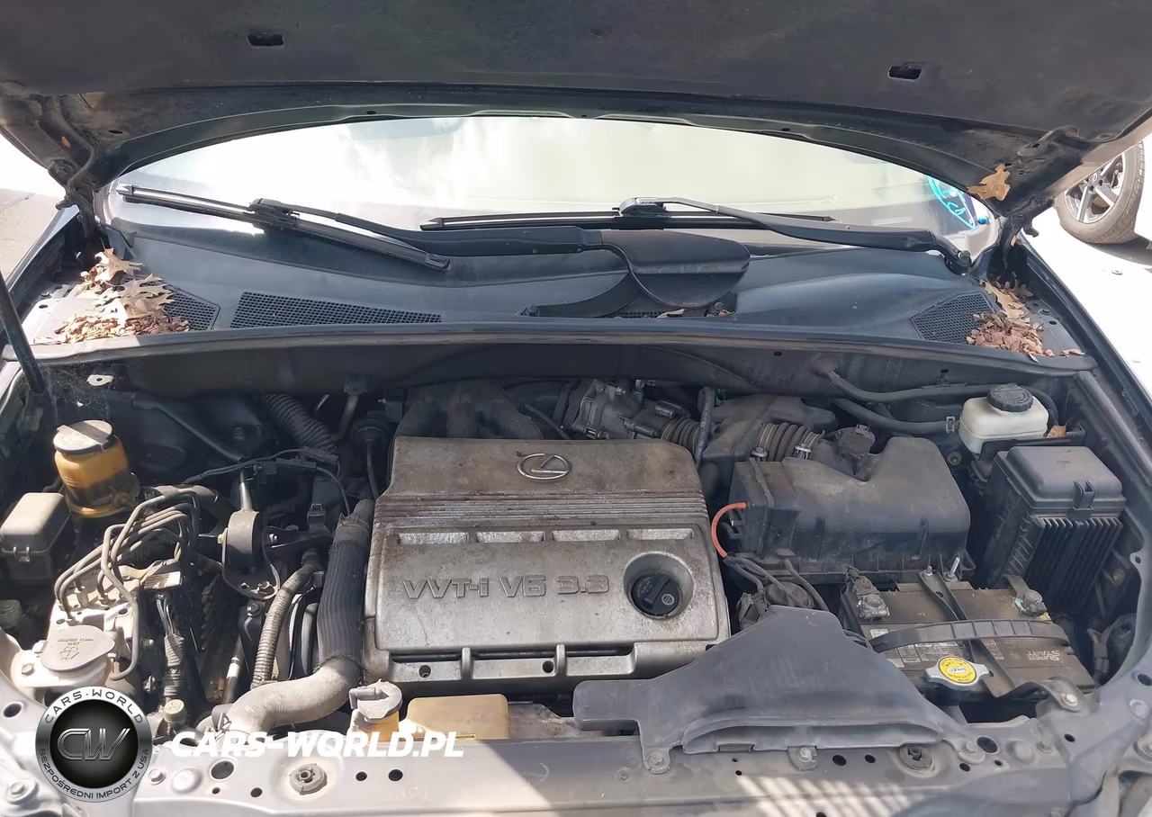 2005 Lexus Rx 330 VIN:2T2GA31U35C040824 - 10