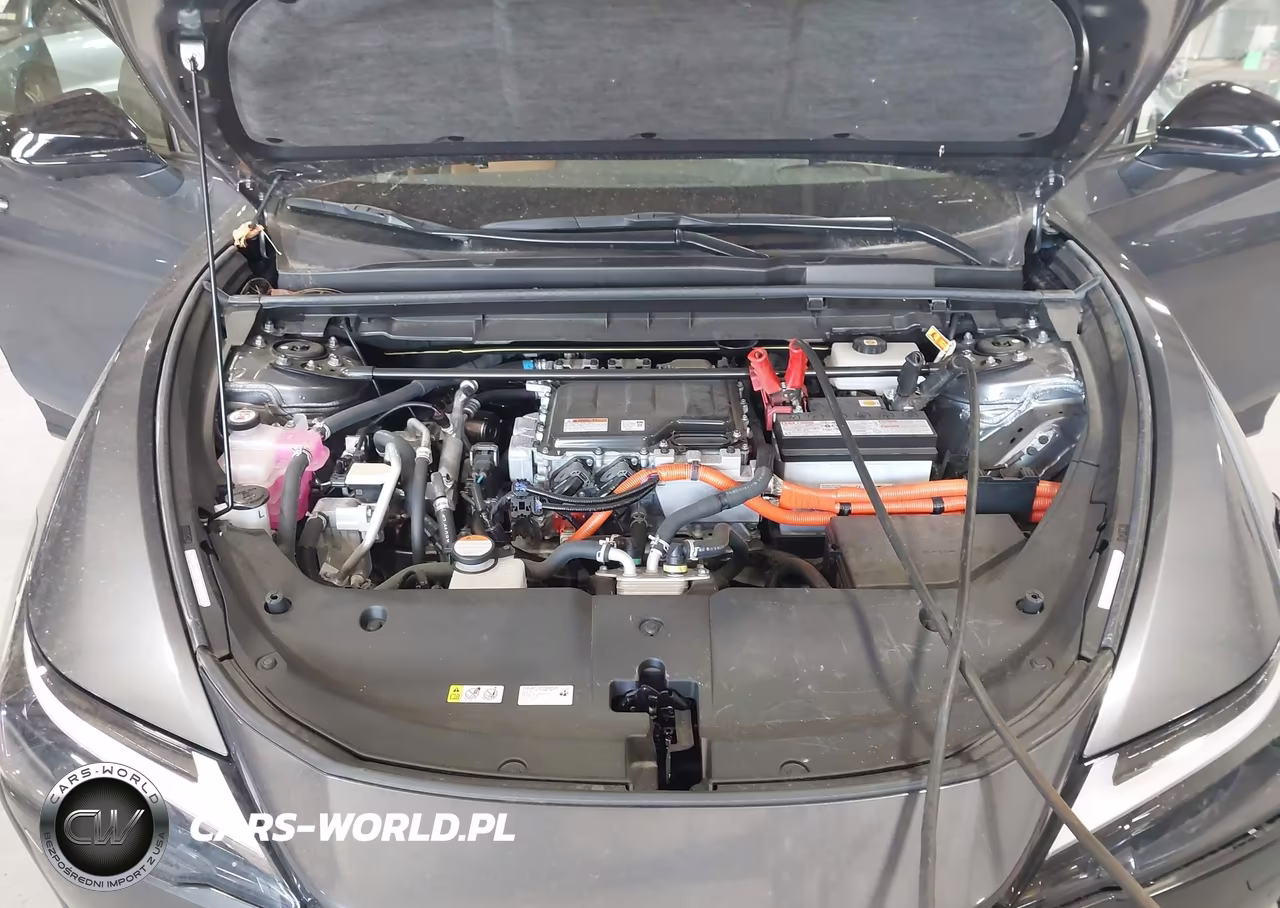 2024 Lexus Rz 450E Premium VIN:JTJAAAABXRA026407 - 10