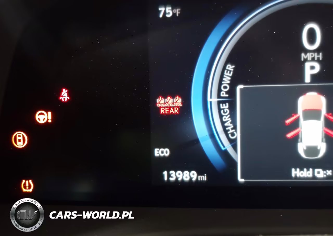 2024 Lexus Rz 450E Premium VIN:JTJAAAABXRA026407 - 15
