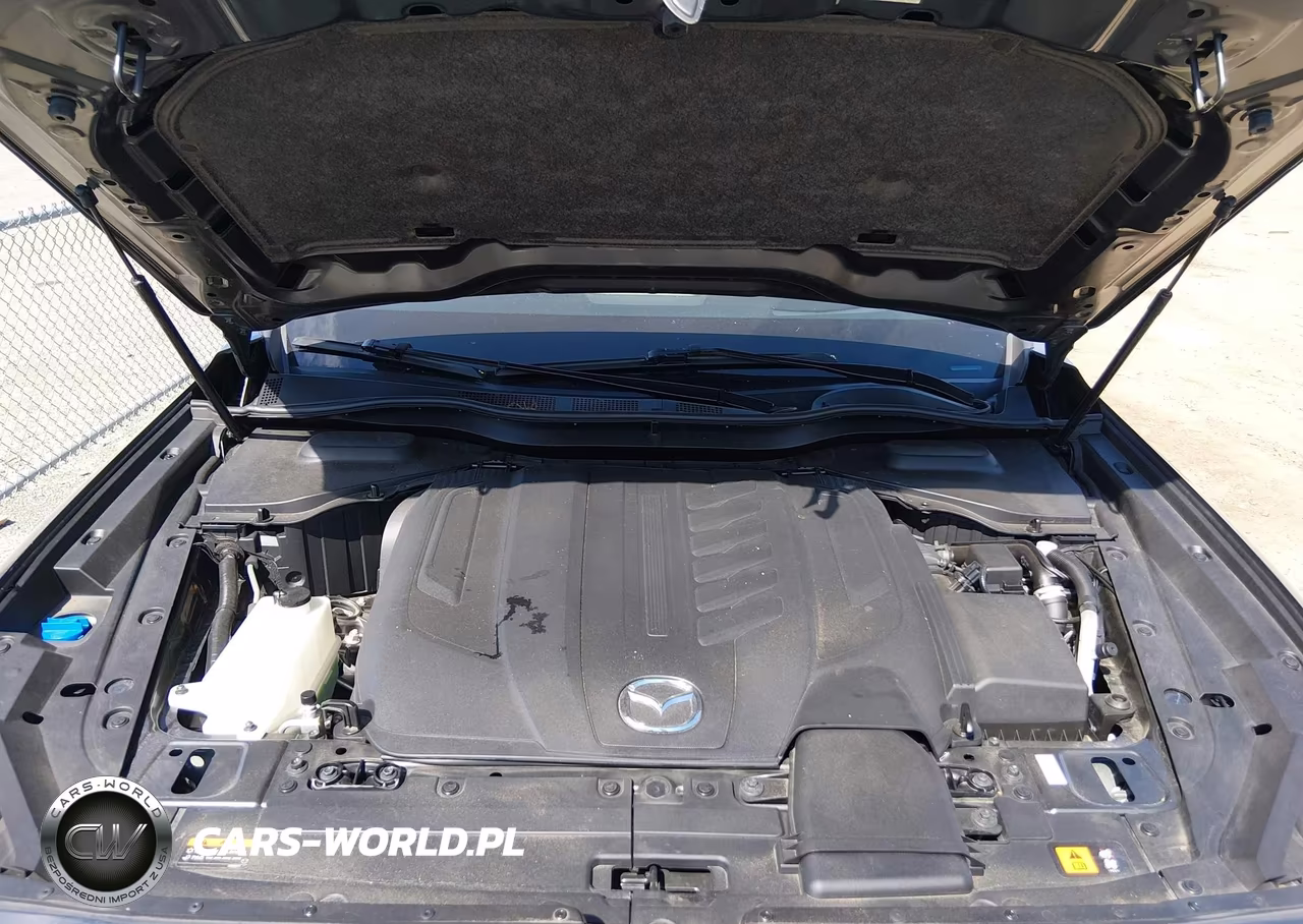 2024 Mazda Cx-90 3.3 Turbo S Premium VIN:JM3KKDHC4R1103543 - 10