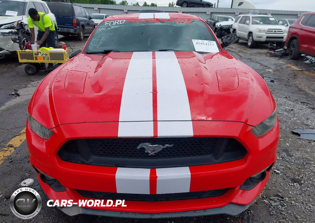2015 Ford Mustang Gt Premium VIN:1FA6P8CF2F5299593 - 11