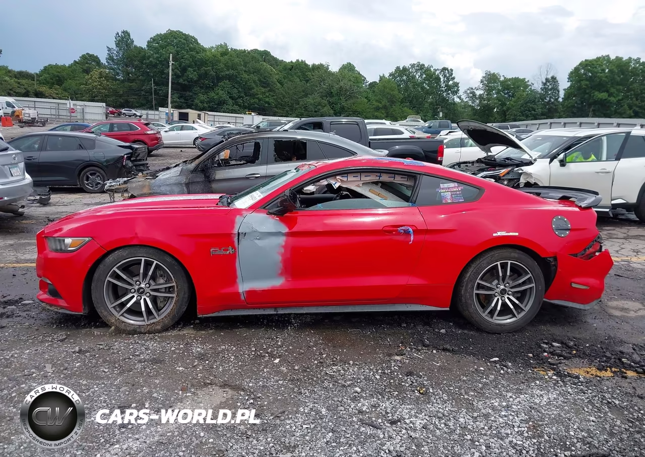 2015 Ford Mustang Gt Premium VIN:1FA6P8CF2F5299593 - 13