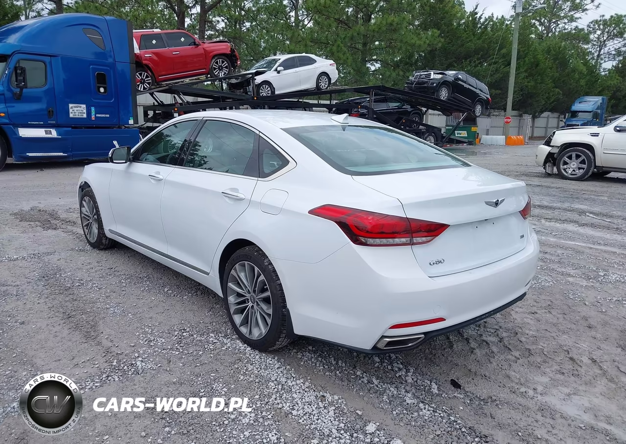 2017 Genesis G80 3.8 VIN:KMHGN4JE0HU171719 - 3