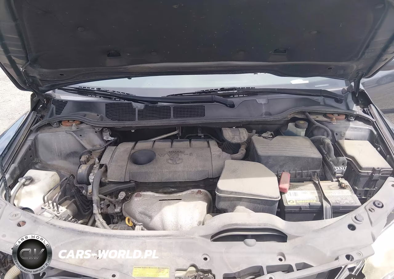 2010 Toyota Venza VIN:4T3ZA3BB4AU029258 - 10