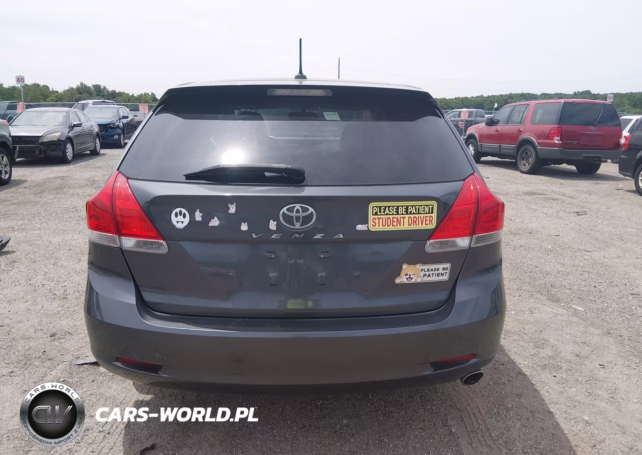2010 Toyota Venza VIN:4T3ZA3BB4AU029258 - 17