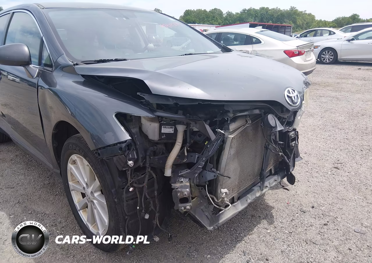 2010 Toyota Venza VIN:4T3ZA3BB4AU029258 - 6