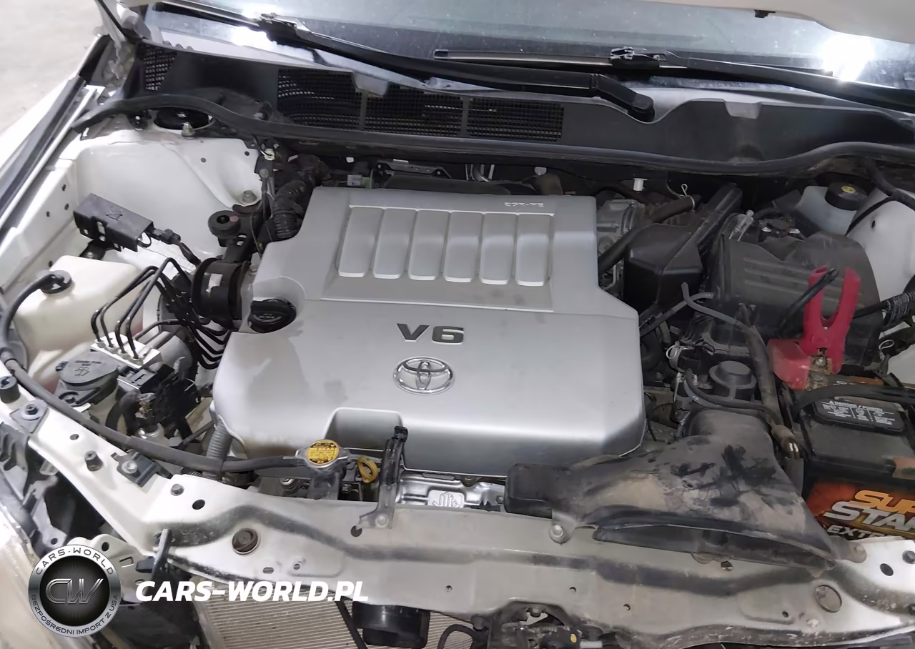 2010 Toyota Venza Base V6 VIN:4T3BK3BB3AU041710 - 10