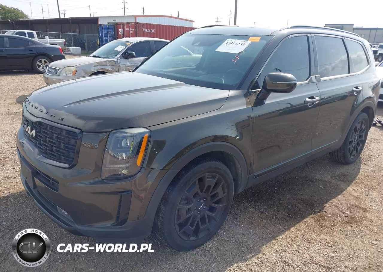 2022 Kia Telluride Sx VIN:5XYP5DHC2NG221610 - 2
