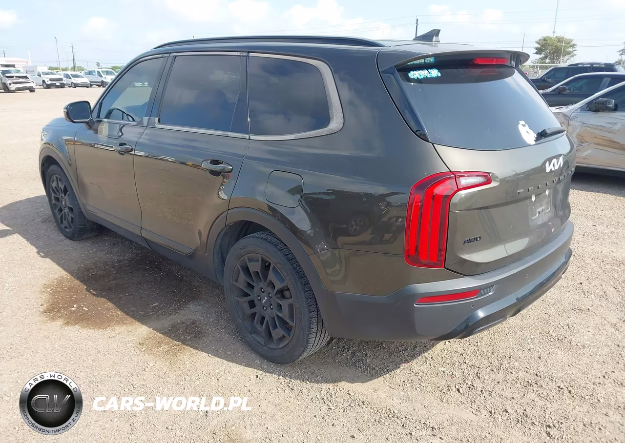2022 Kia Telluride Sx VIN:5XYP5DHC2NG221610 - 3