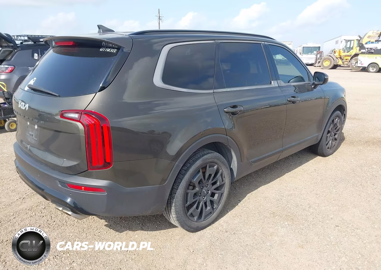 2022 Kia Telluride Sx VIN:5XYP5DHC2NG221610 - 4
