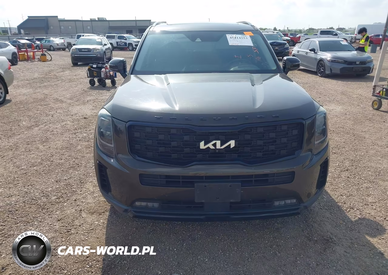 2022 Kia Telluride Sx VIN:5XYP5DHC2NG221610 - 6