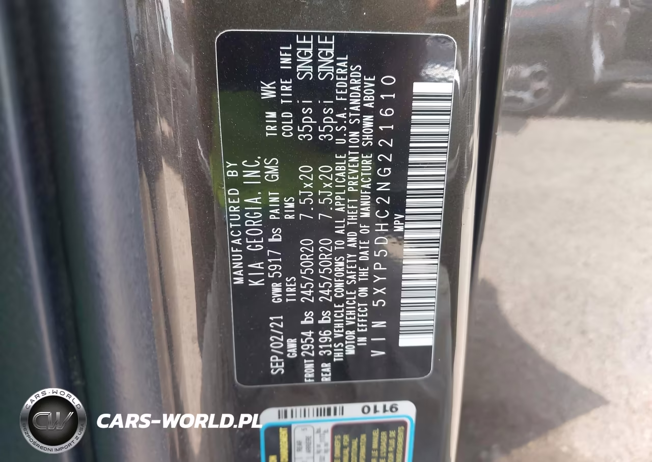 2022 Kia Telluride Sx VIN:5XYP5DHC2NG221610 - 9