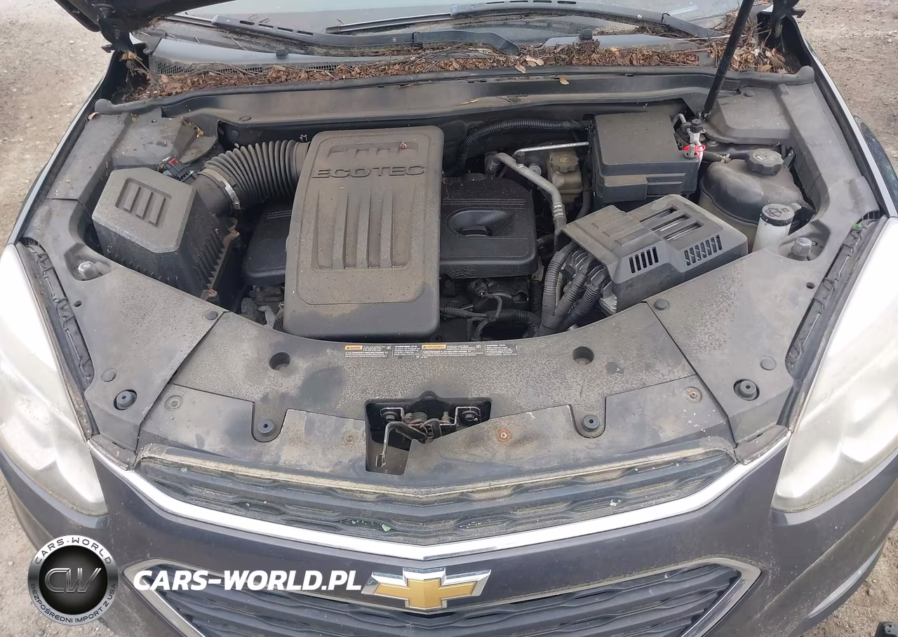 2016 Chevrolet Equinox Ls VIN:2GNFLEEK6G6219501 - 10
