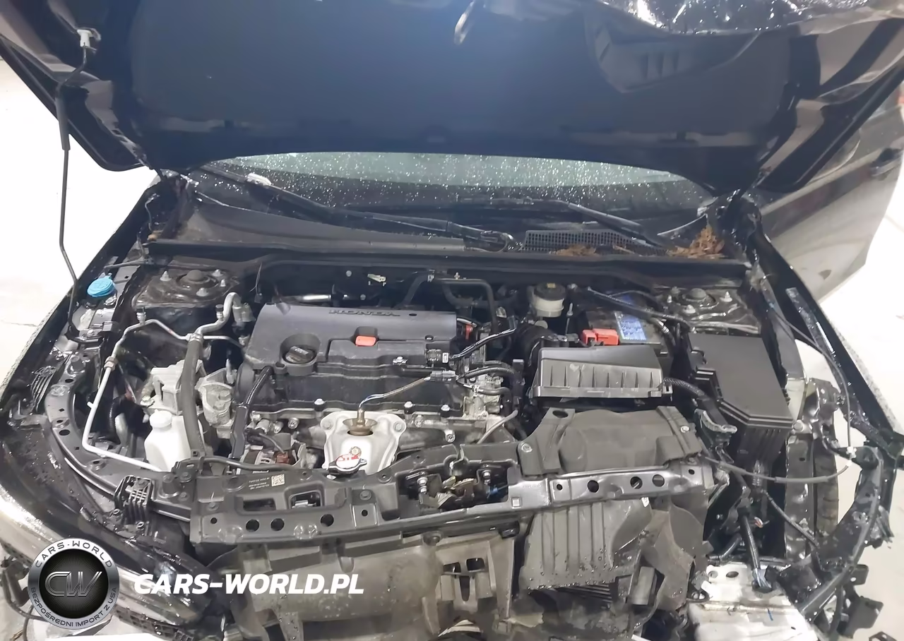 2024 Honda Civic Sport VIN:2HGFE2F50RH583853 - 10